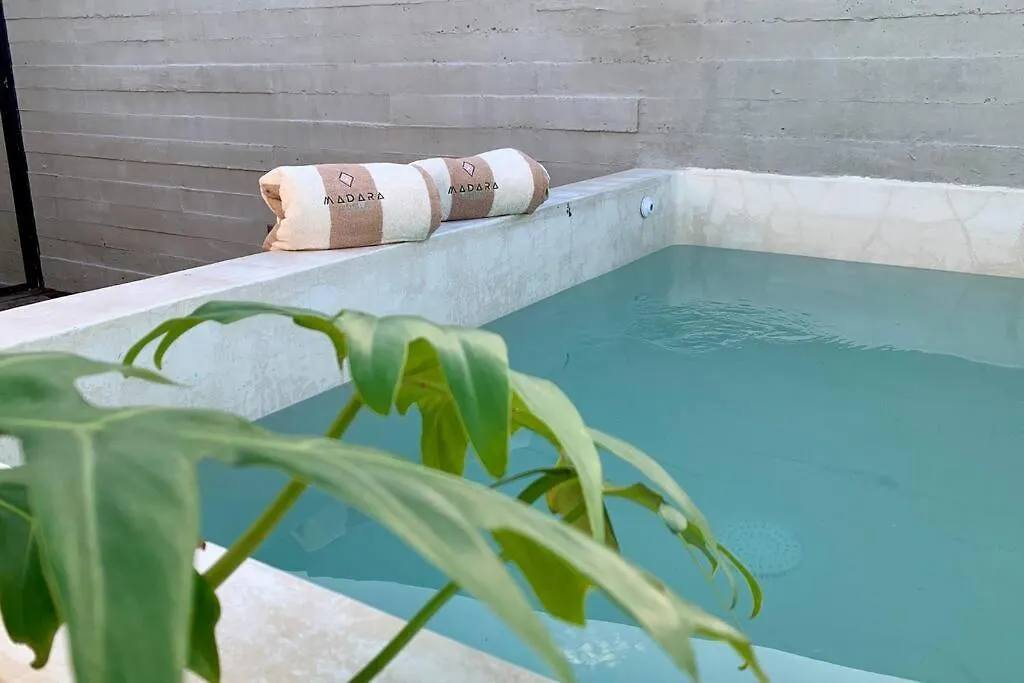 Lujoso Penthouse Remodelado De Tres Pisos En Madara Tulum Apartment