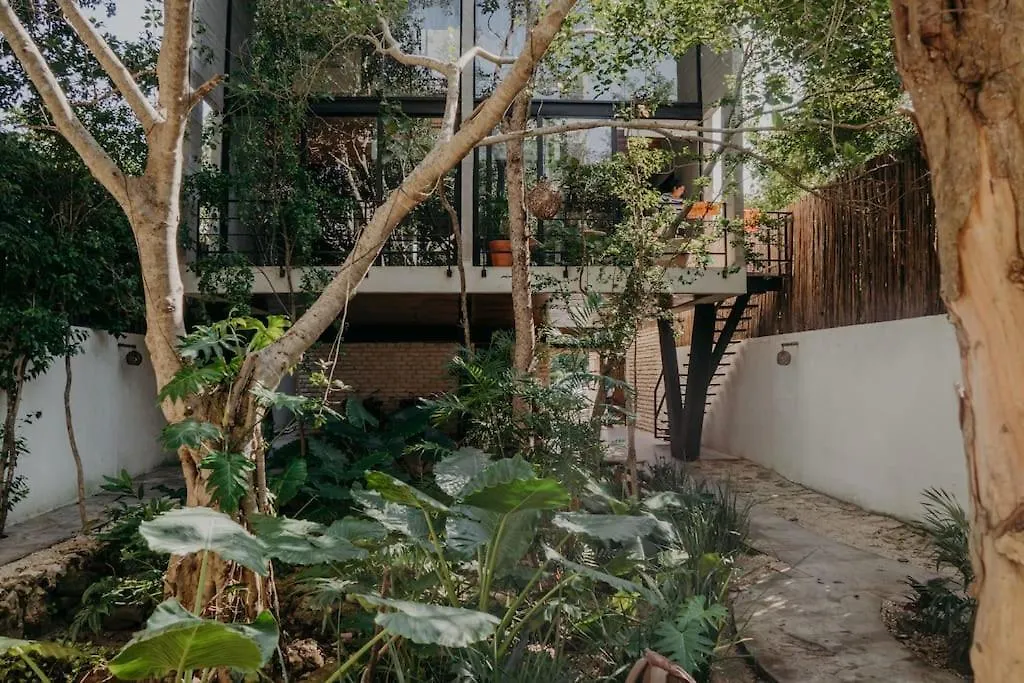 Lujoso Penthouse Remodelado De Tres Pisos En Madara Tulum Apartment Mexico