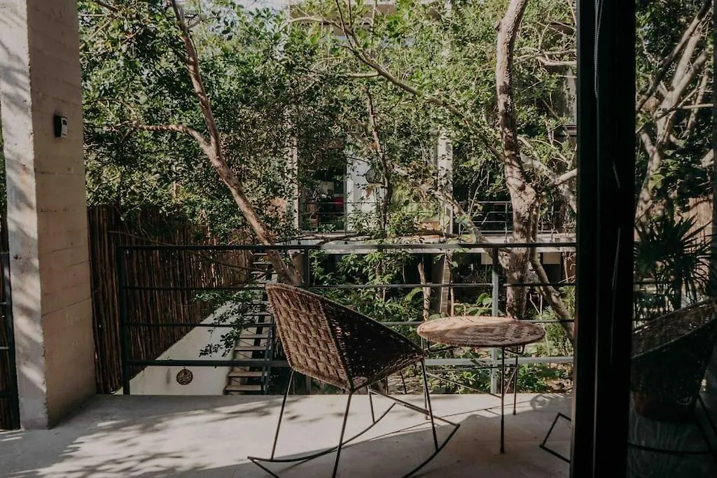 Lujoso Penthouse Remodelado De Tres Pisos En Madara Tulum Apartment