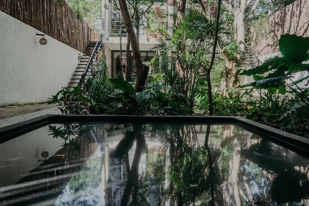 Lujoso Penthouse Remodelado De Tres Pisos En Madara Tulum Apartment